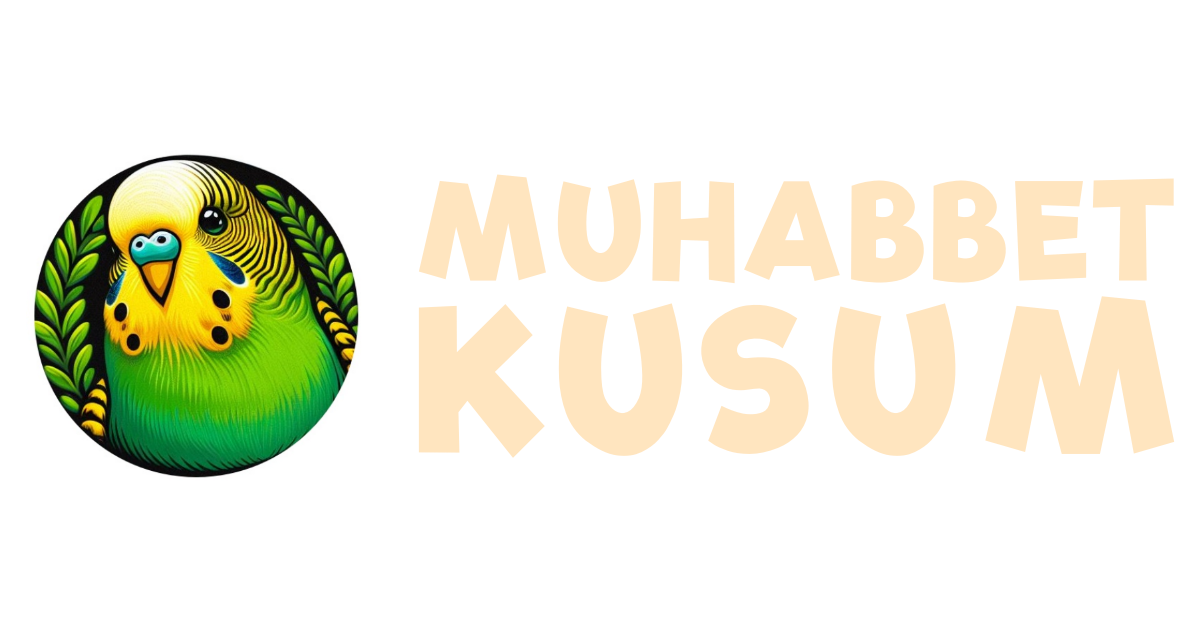 muhabbetkusum